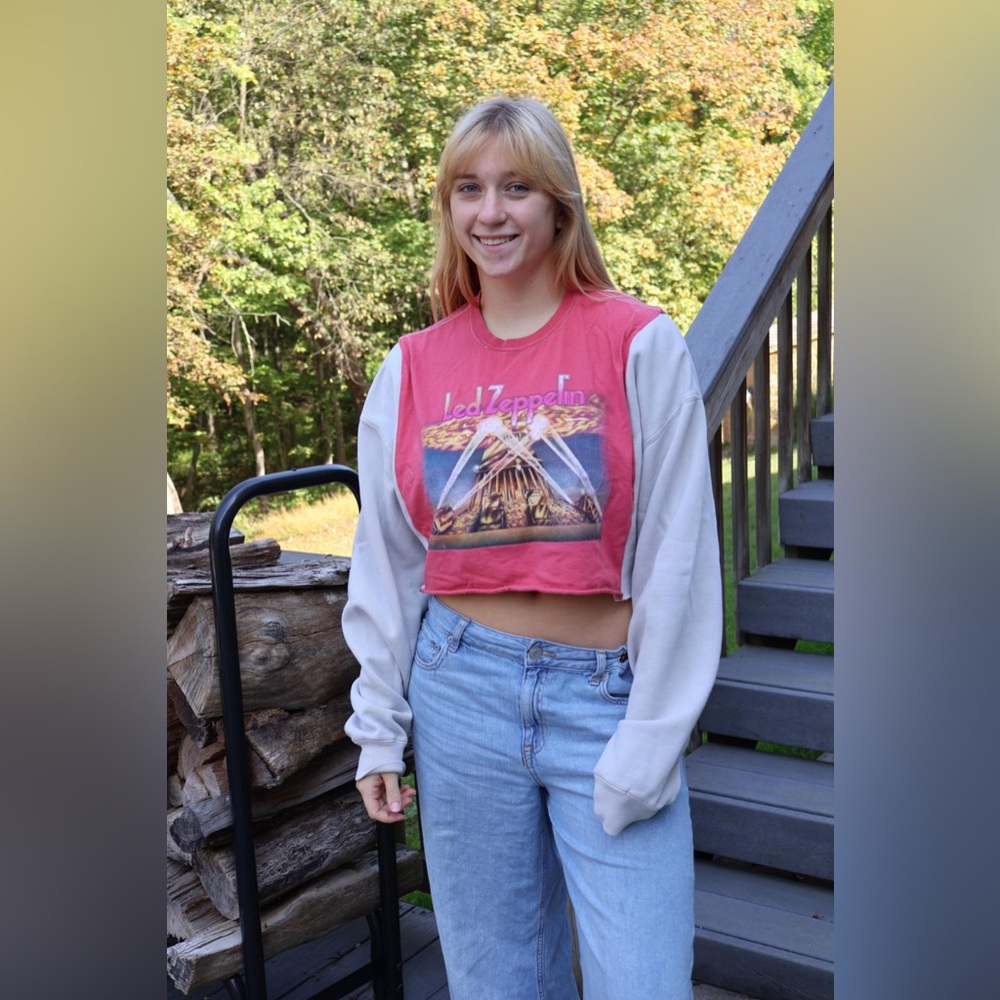 Women's Pink and Gray Crop Top